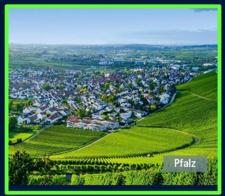 Ferienwohnung Forest & Wein Neustadt an der Weinstraße Δωμάτιο φωτογραφία